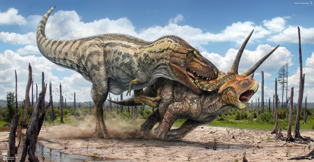 Схватка тираннозавра с трицератопсом