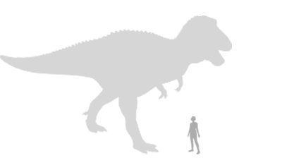 Размер тираннозавра