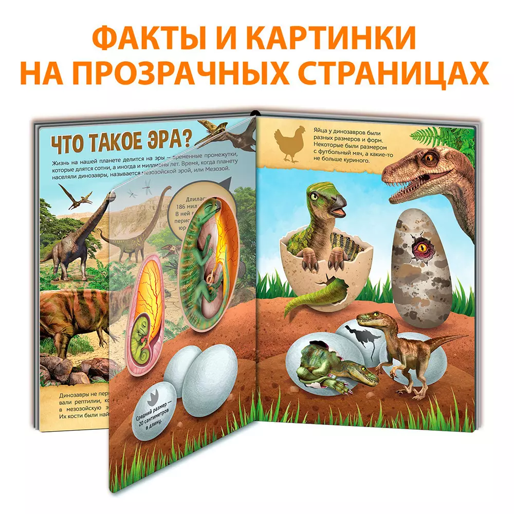 Купить Книга с прозрачными страницами 